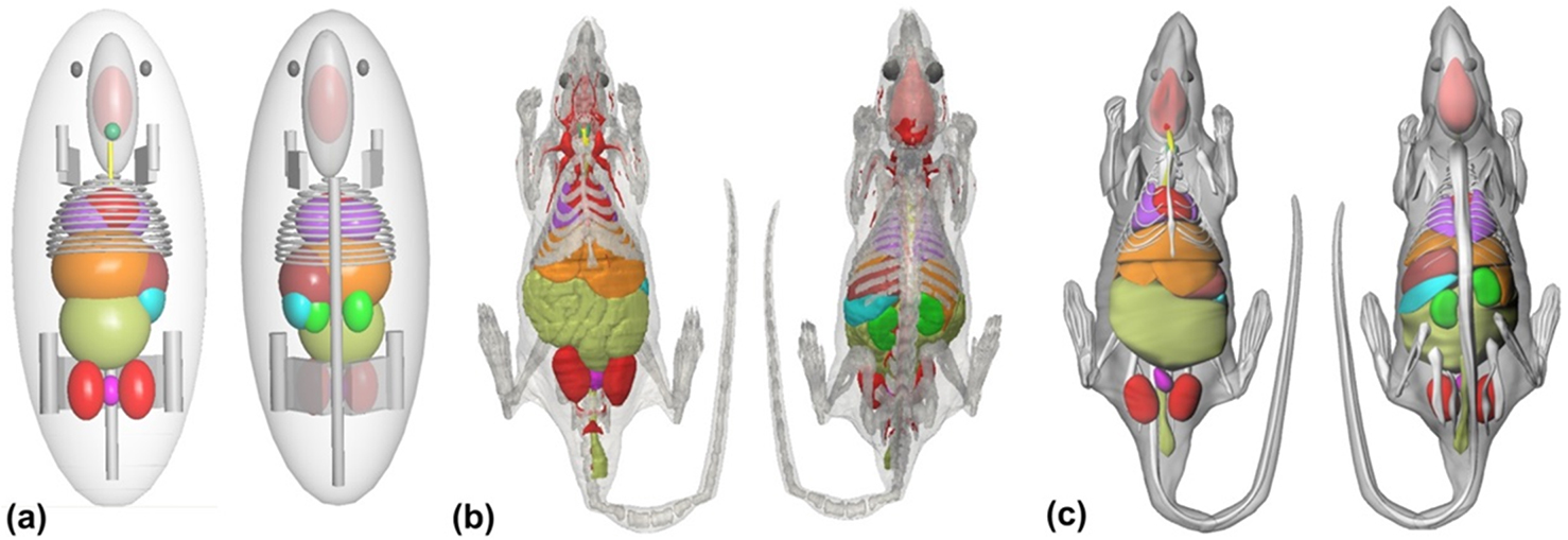 Historical development and overview of computational animal models ...