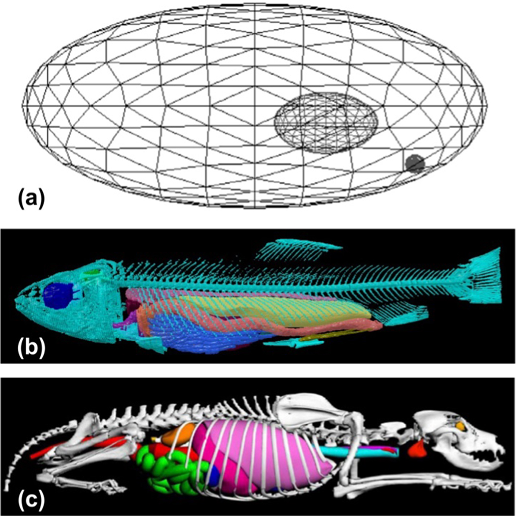 Historical development and overview of computational animal models ...