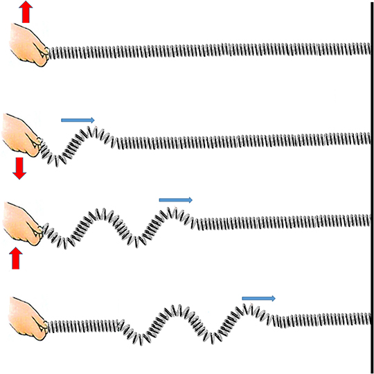 Waves and oscillations - Book chapter - IOPscience