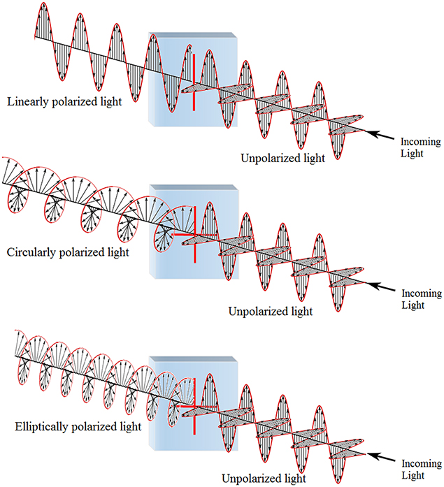Waves and oscillations - Book chapter - IOPscience