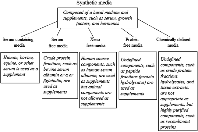 Culture media for animal cells - Book chapter - IOPscience