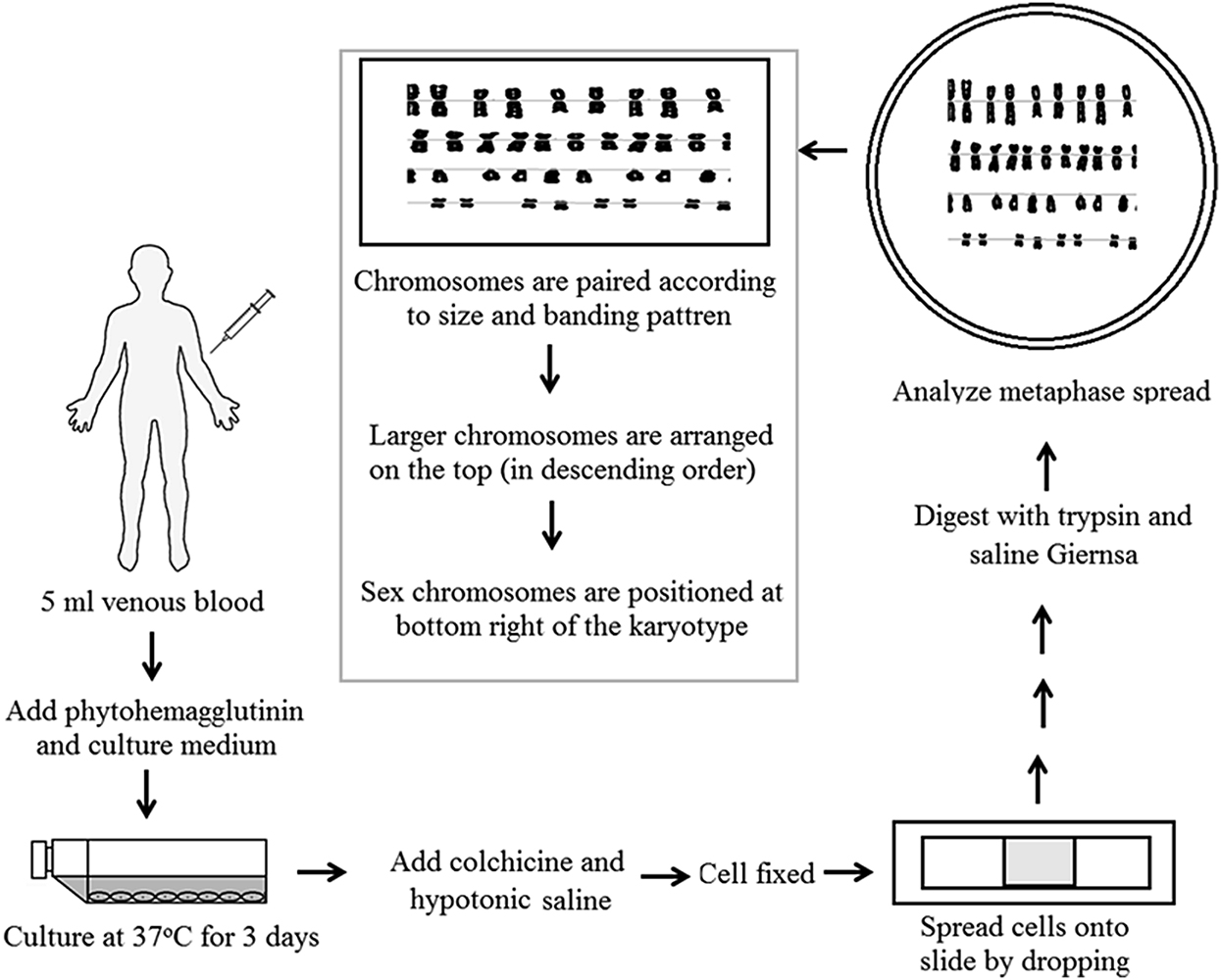 Characterization of cultured cells - Book chapter - IOPscience