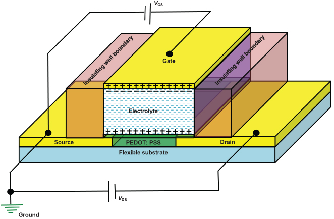 Electrolyte-gated organic FET (EGOFET) and organic electrochemical FET ...