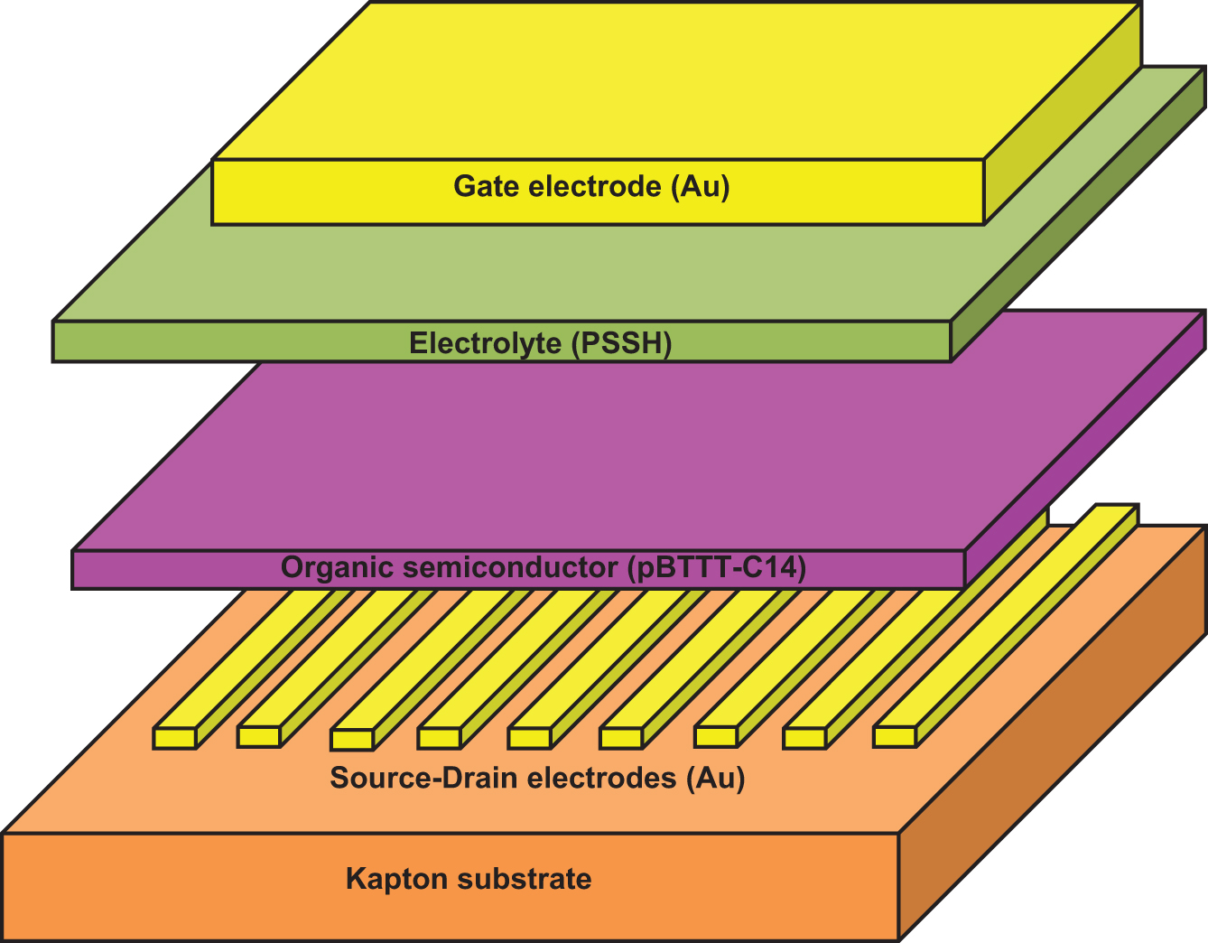 Electrolyte-gated organic FET (EGOFET) and organic electrochemical FET ...