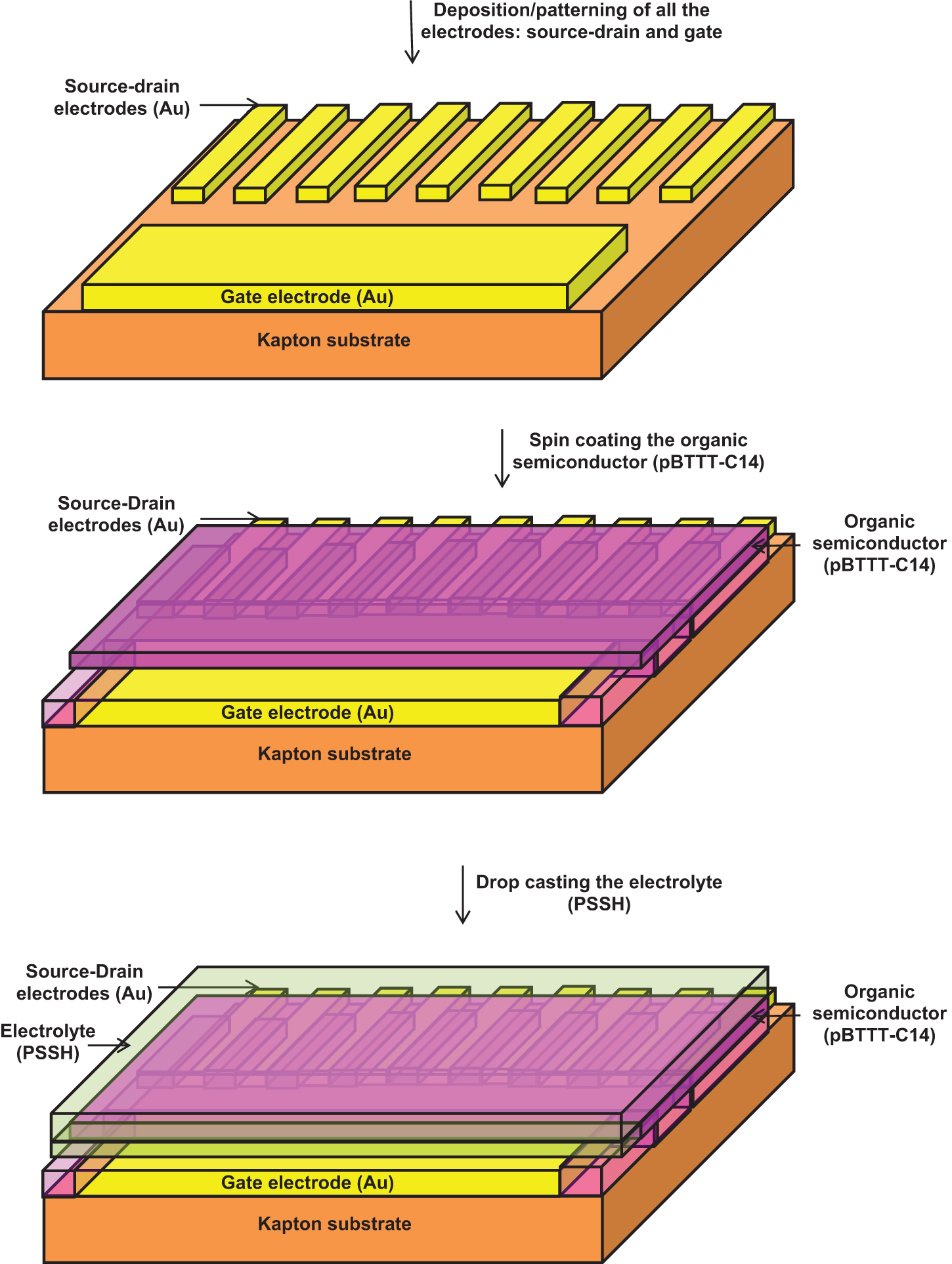 Electrolyte-gated organic FET (EGOFET) and organic electrochemical FET ...