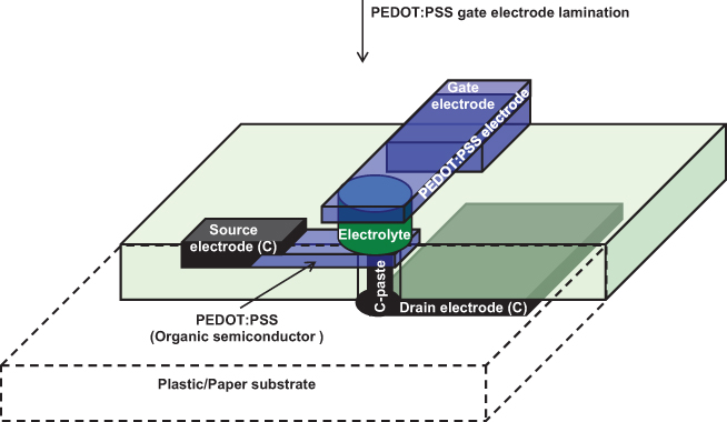 Electrolyte-gated organic FET (EGOFET) and organic electrochemical FET ...
