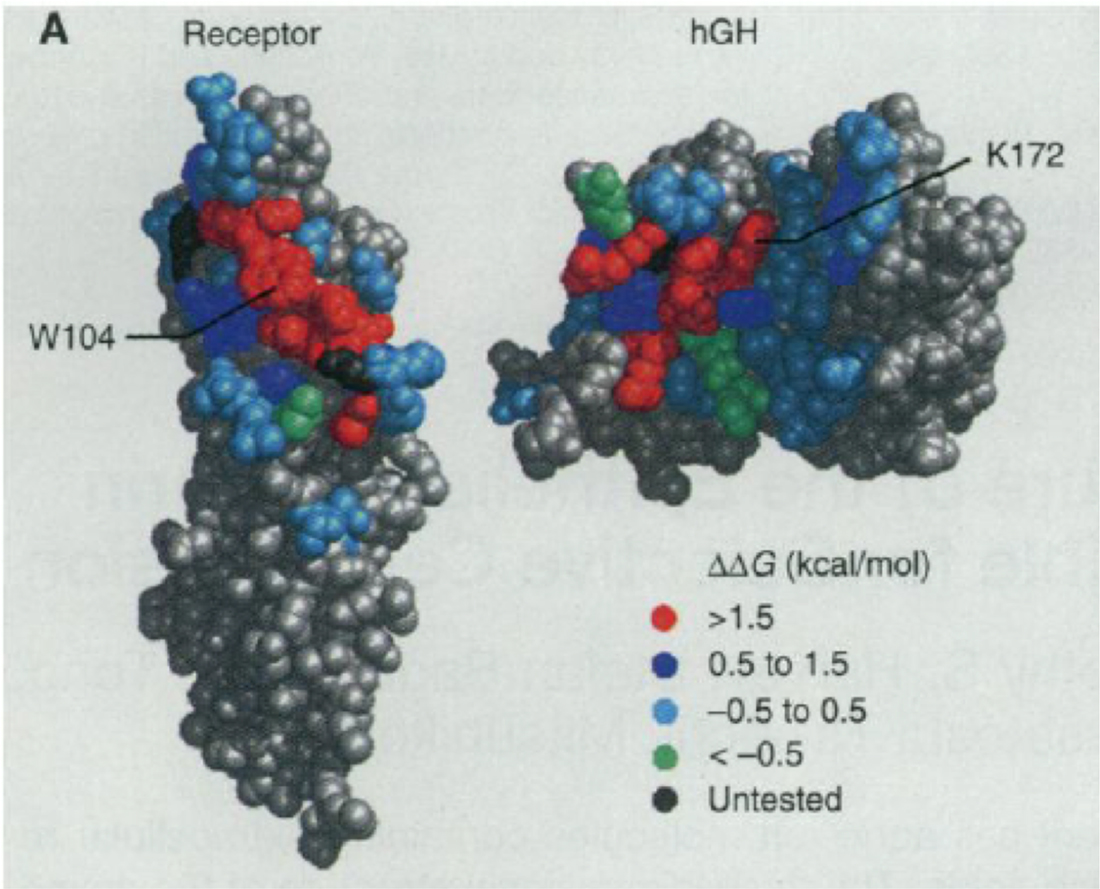 The hot spot in protein–protein interfaces - Book chapter - IOPscience