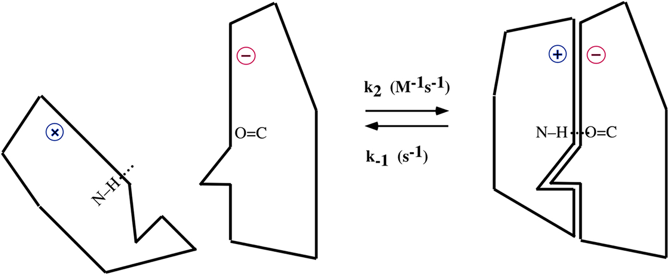 Kinetics of protein–protein association and dissociation - Book chapter ...