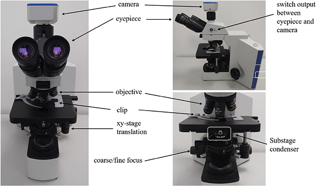 Parcentric Microscope Microscopy techniques - Book chapter - IOPscience
