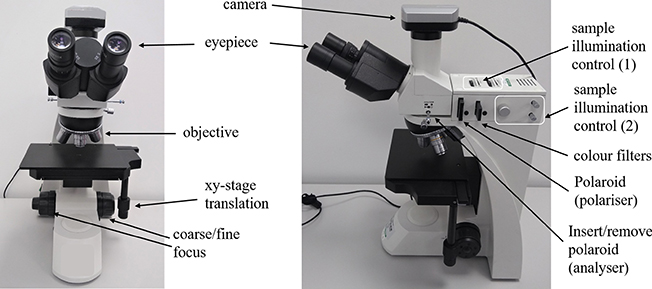 Microscopic Procedures Example Microscopy techniques - Book chapter - IOPscience