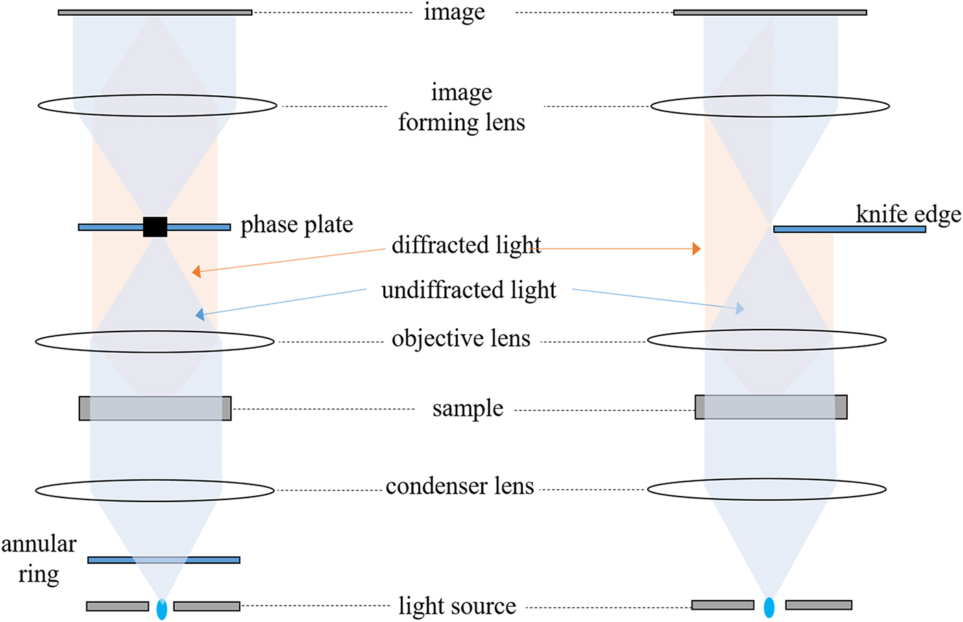 Microscopy techniques - Book chapter - IOPscience