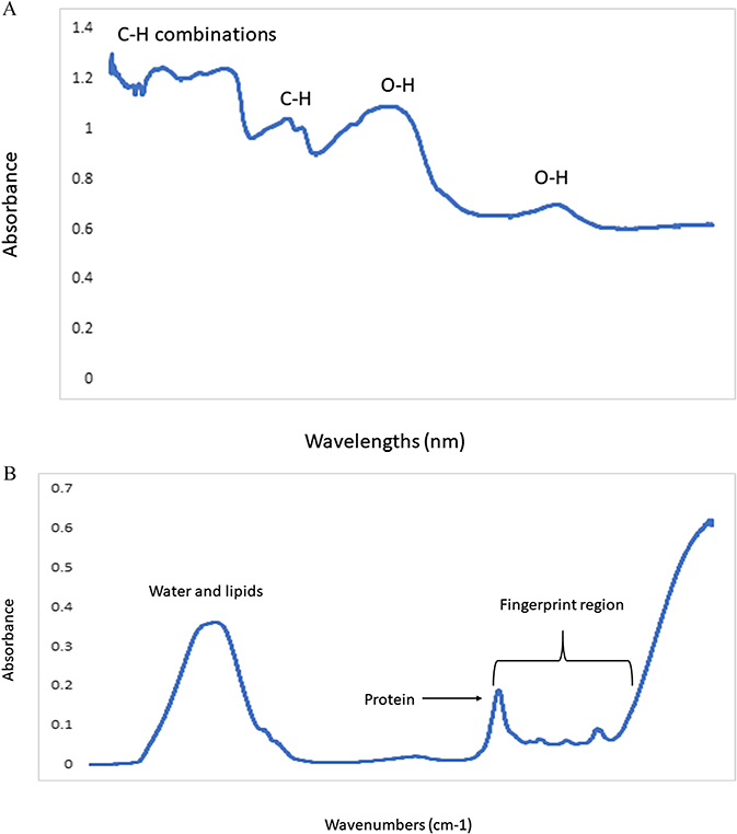 State of the art and applications of near infrared spectroscopy in food ...