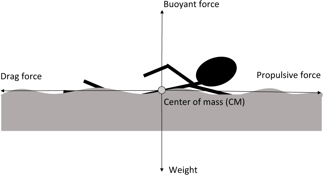 What did Newton say about force? - Book chapter - IOPscience
