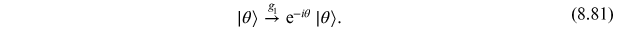 Equation (8.81)