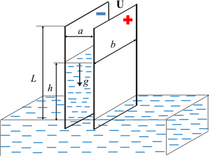 Introductory description of processes related to negative pressure in ...