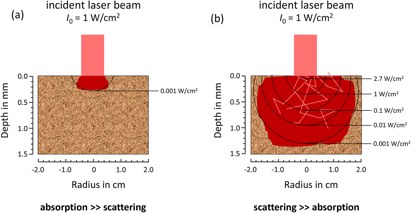 Tissue Optik Tissue optics and laser–tissue interactions - Book chapter - IOPscience