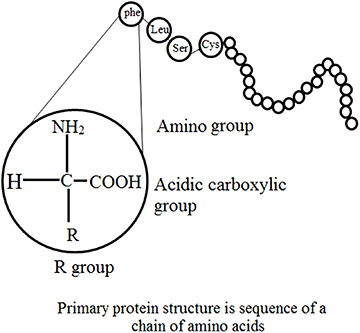 Introduction to enzymes and their applications - Book chapter - IOPscience