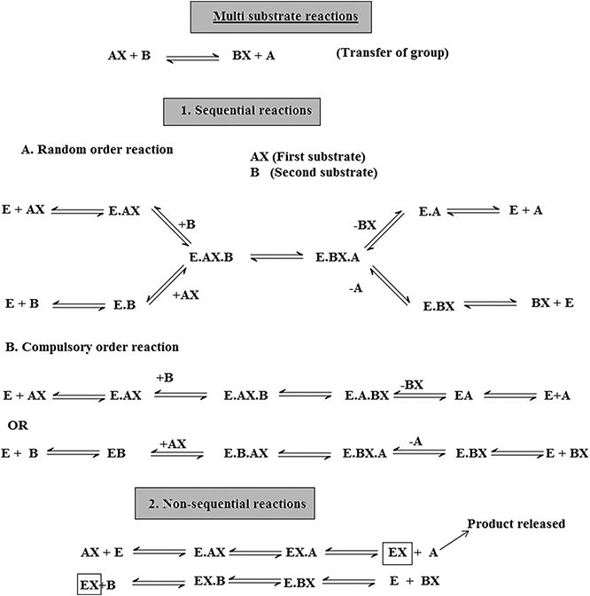 Sortagging Reaction Introduction to enzymes and their applications - Book chapter - IOPscience