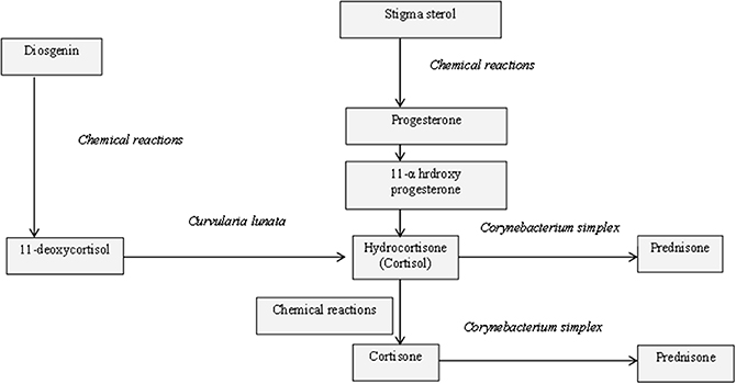 Biotransformation and enzymes - Book chapter - IOPscience