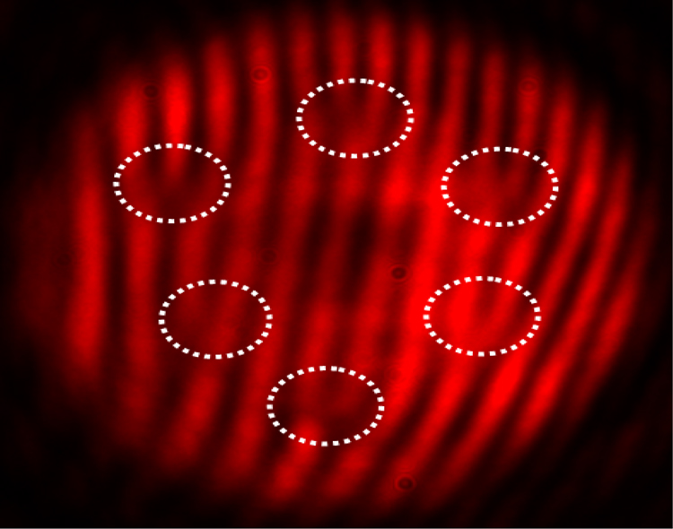Complex Light - Book chapter - IOPscience