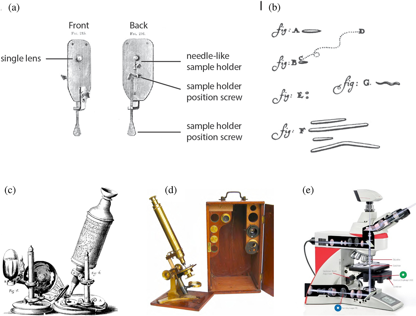 Introduction to optical microscope and image formation - Book chapter ...