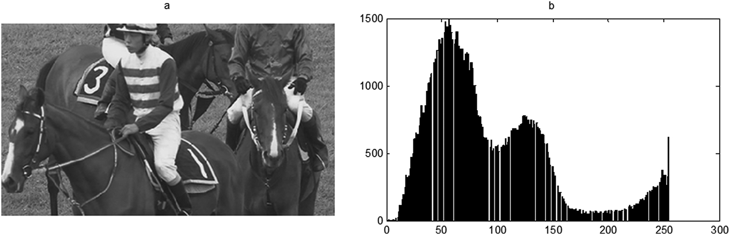 Simultaneous encryption and arithmetic coding for performing image ...