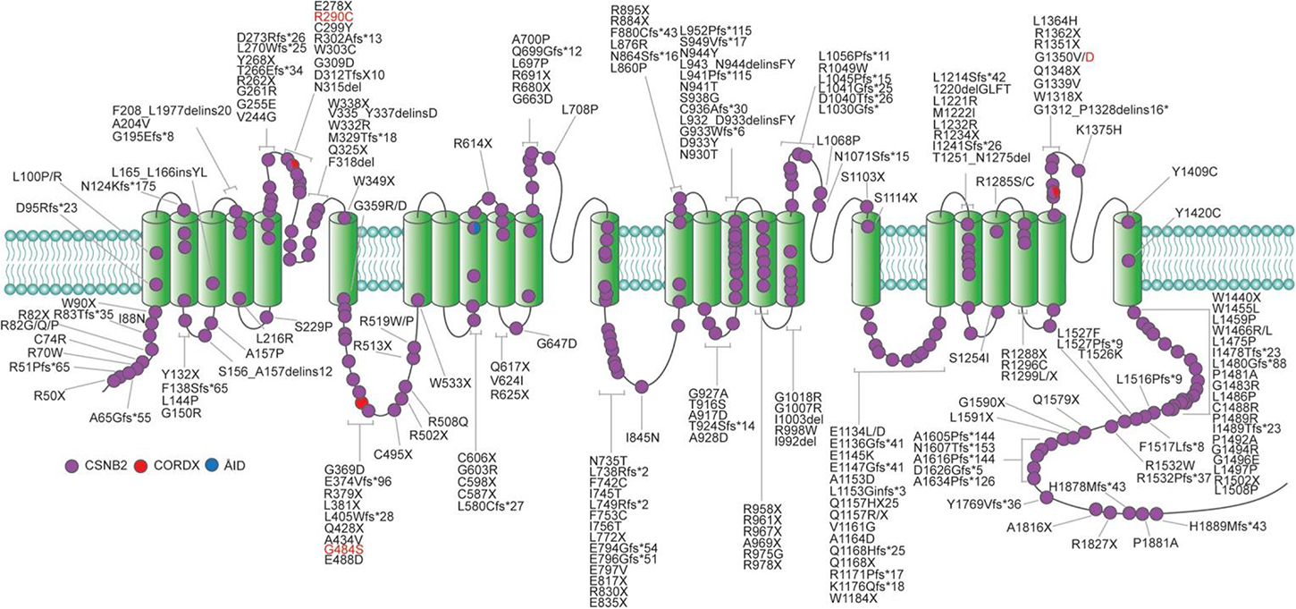 Voltage-gated calcium channelopathies - Book chapter