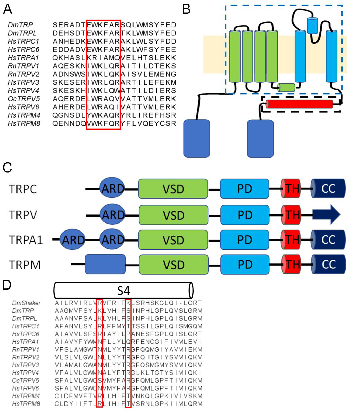 Trp Tracking Structure and function of TRP channels - Book chapter - IOPscience