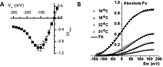Structure and function of TRP channels - Book chapter - IOPscience