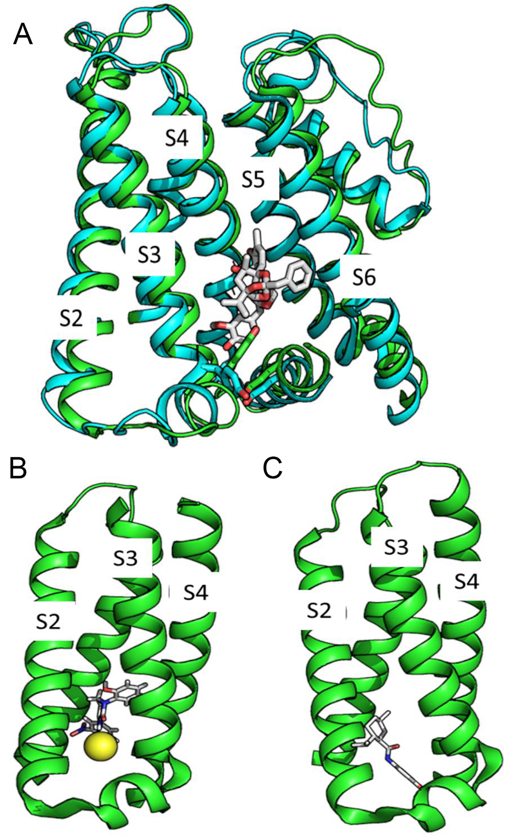 Structure and function of TRP channels - Book chapter - IOPscience