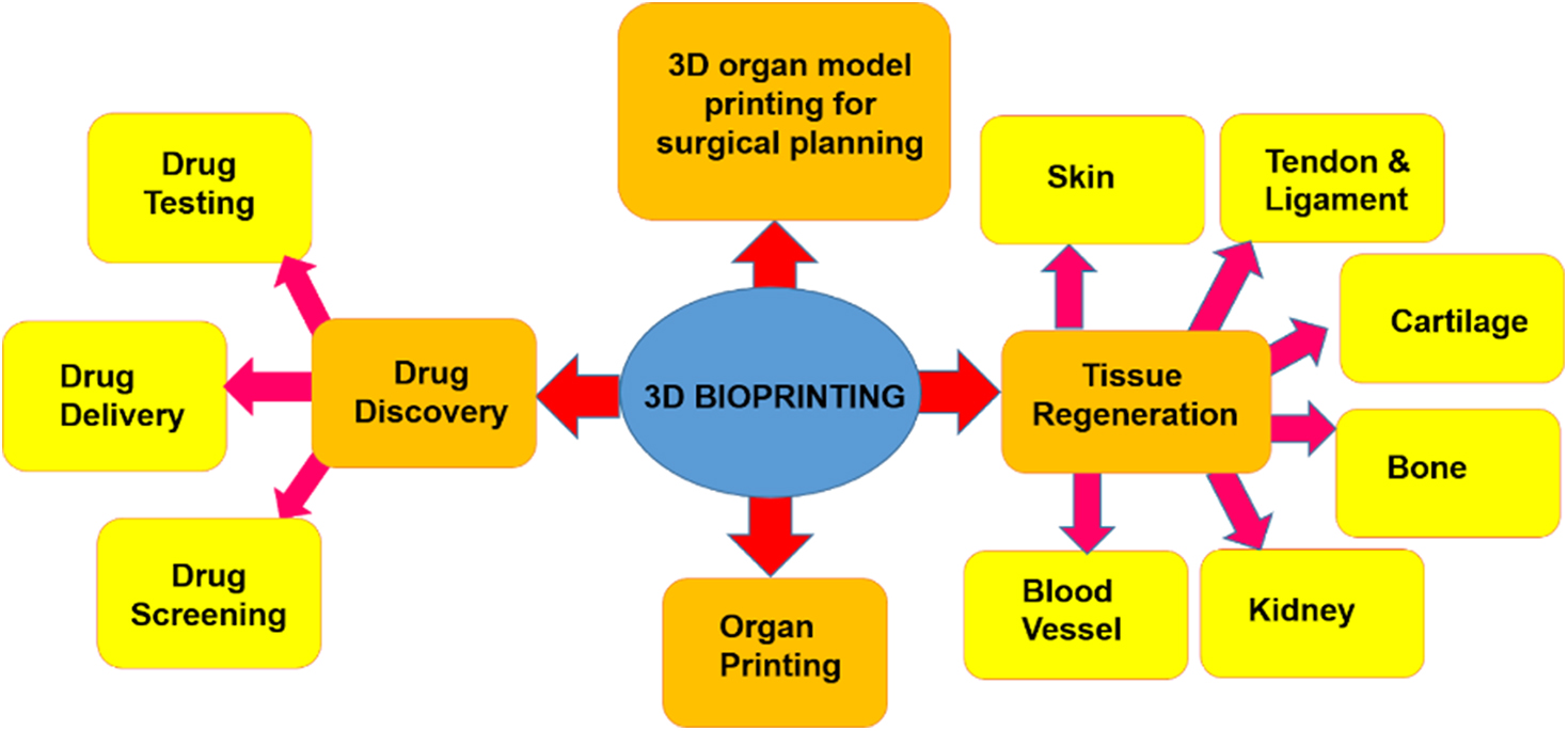 3D bioprinting in tissue engineering and regenerative medicine - Book ...