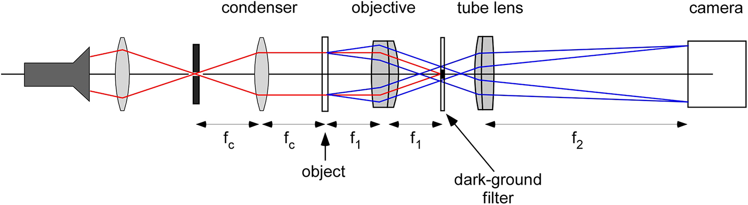 Microscope Geometric Geometrical optics - Book chapter - IOPscience
