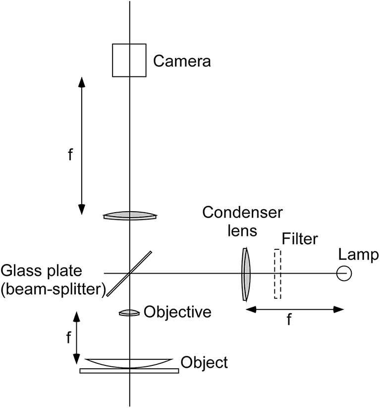 Physical optics II: interference - Book chapter - IOPscience