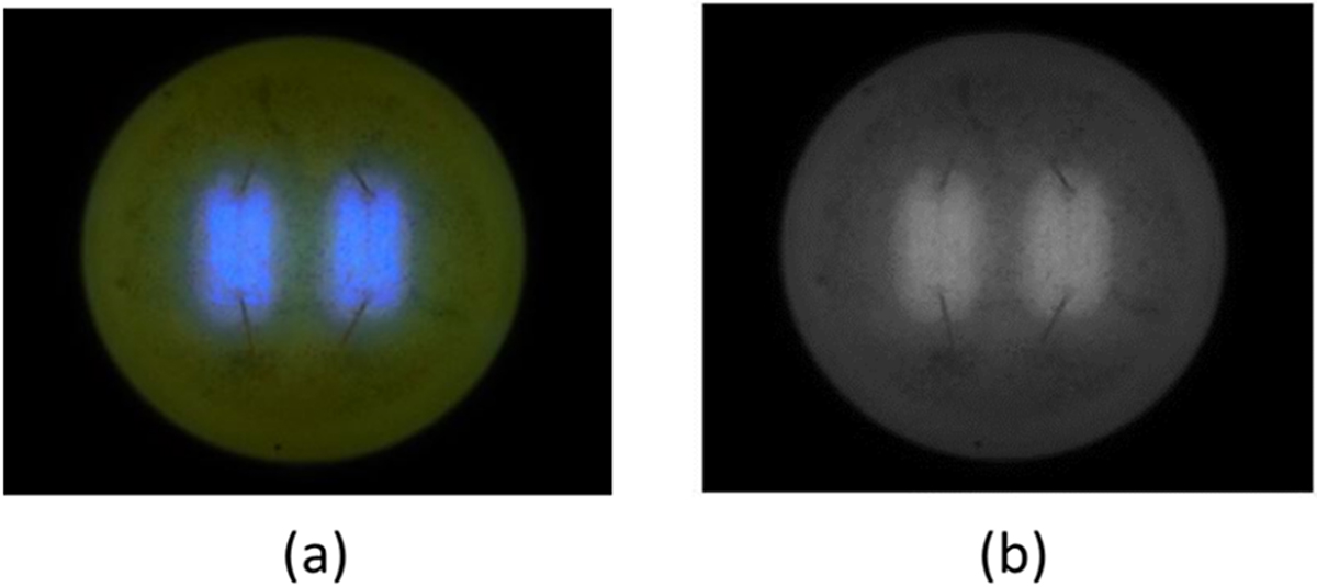 Light source modeling - Book chapter - IOPscience