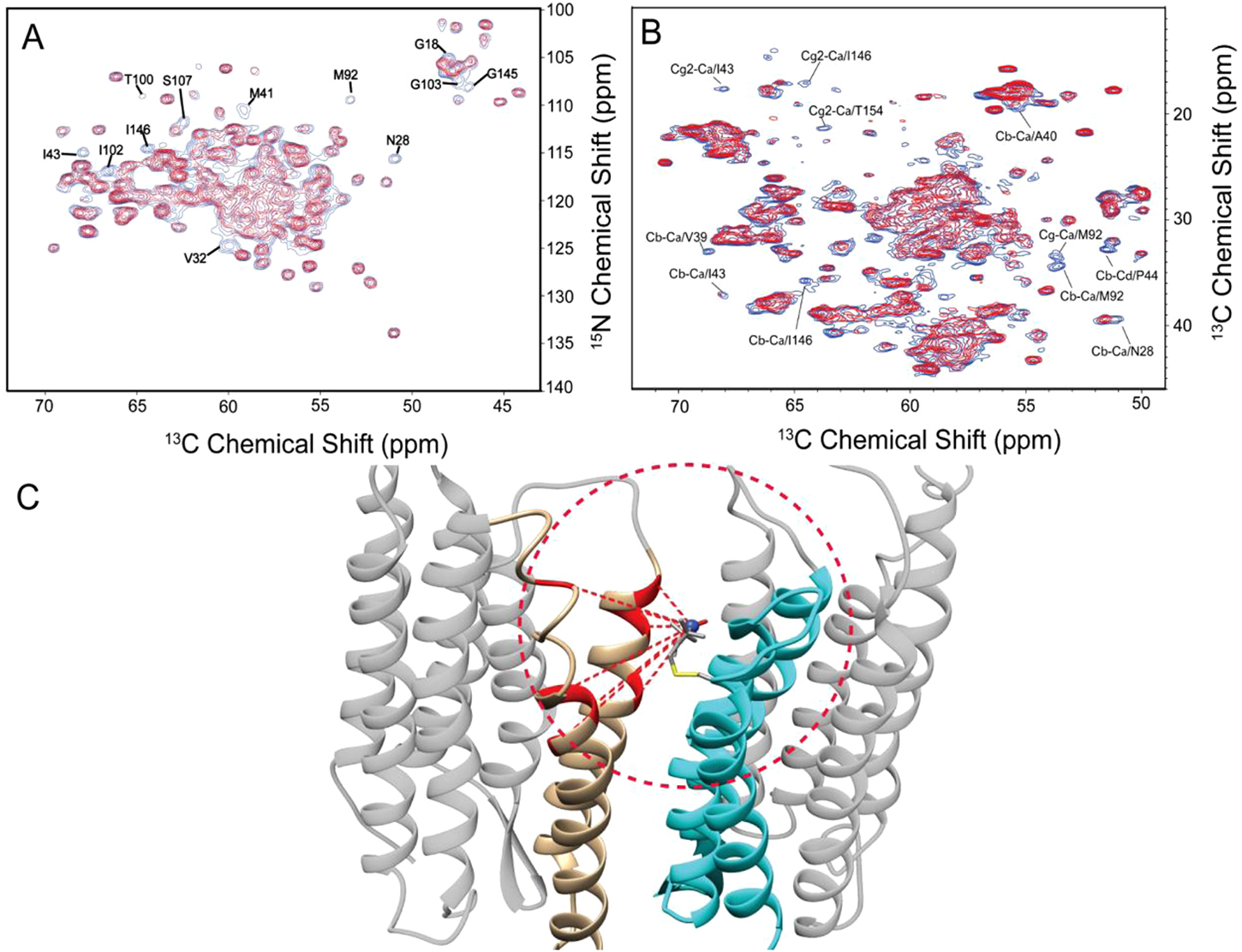 Solid-state NMR methods for investigations of membrane protein ...