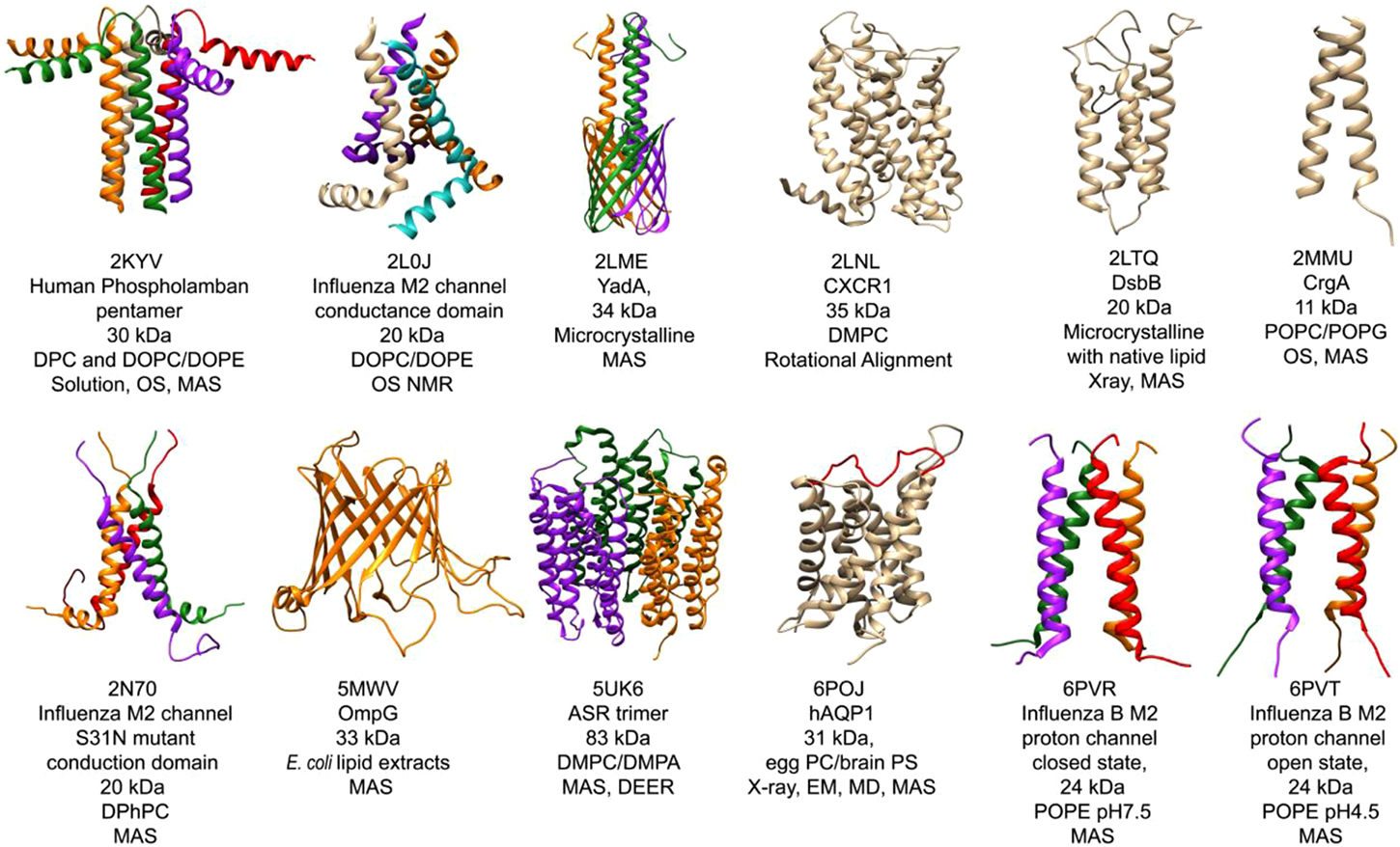 Solid-state NMR methods for investigations of membrane protein ...