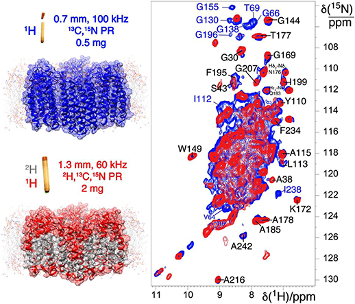 Solid-state NMR methods for investigations of membrane protein ...