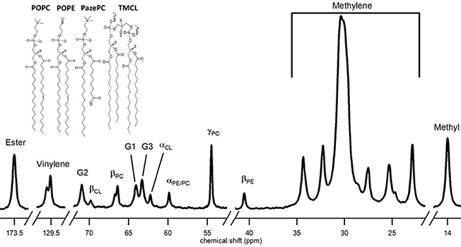 Solid-state NMR methods for studying membrane systems - Book chapter ...