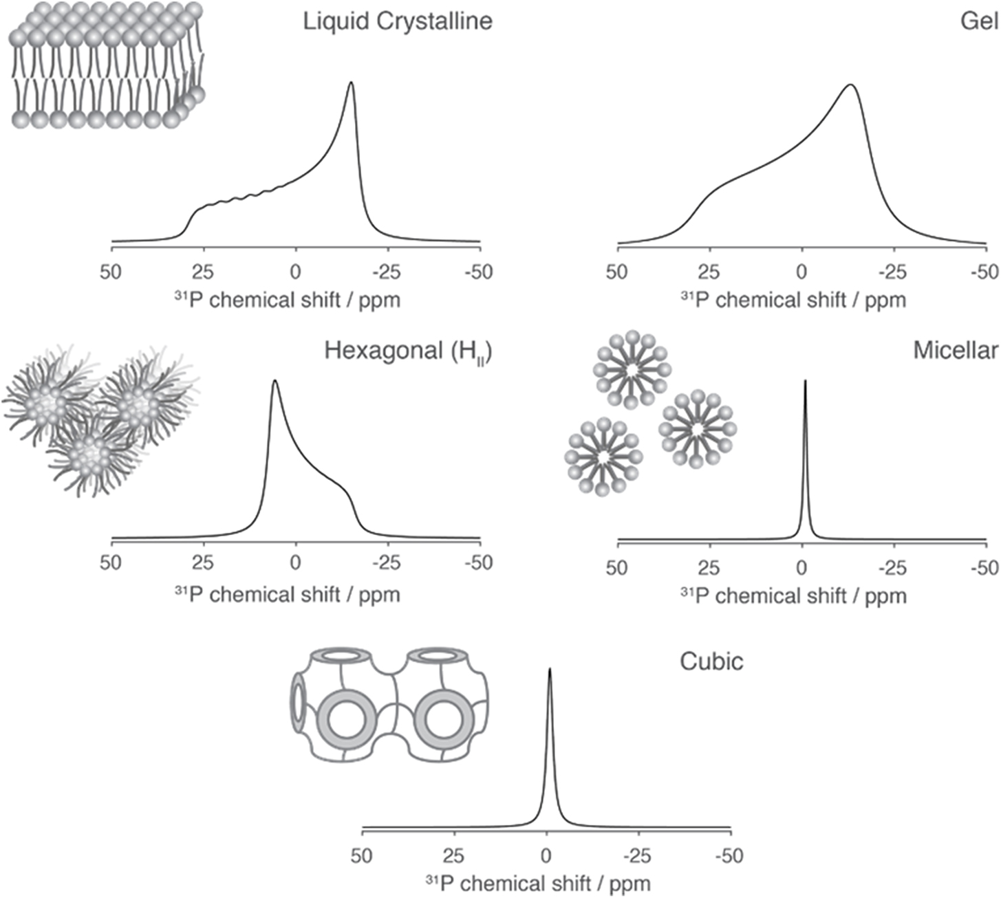 Solid-state NMR methods for studying membrane systems - Book chapter ...