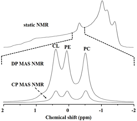 Solid-state NMR methods for studying membrane systems - Book chapter ...
