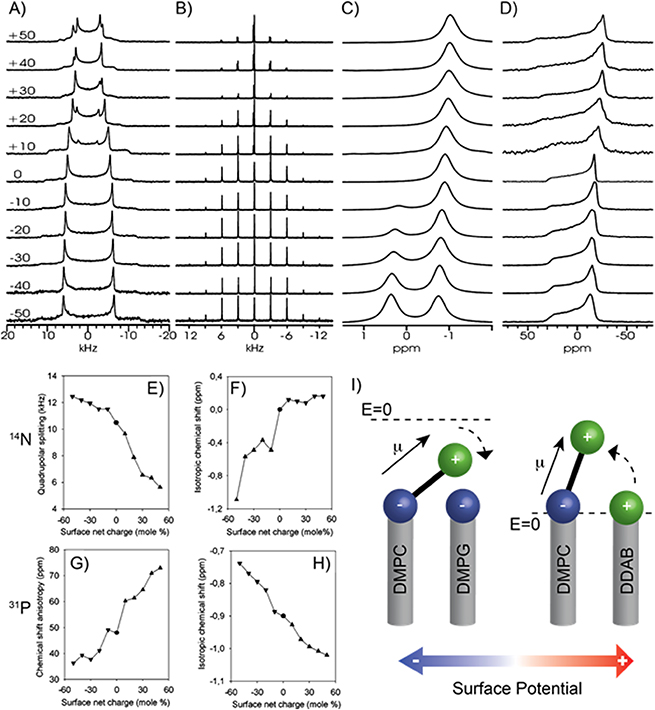 Solid-state NMR methods for studying membrane systems - Book chapter ...