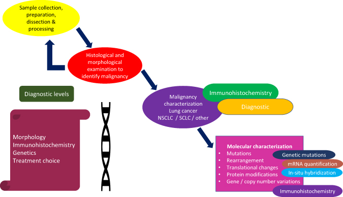 Use of biomarkers in lung cancer diagnosis, prognosis, and treatment ...