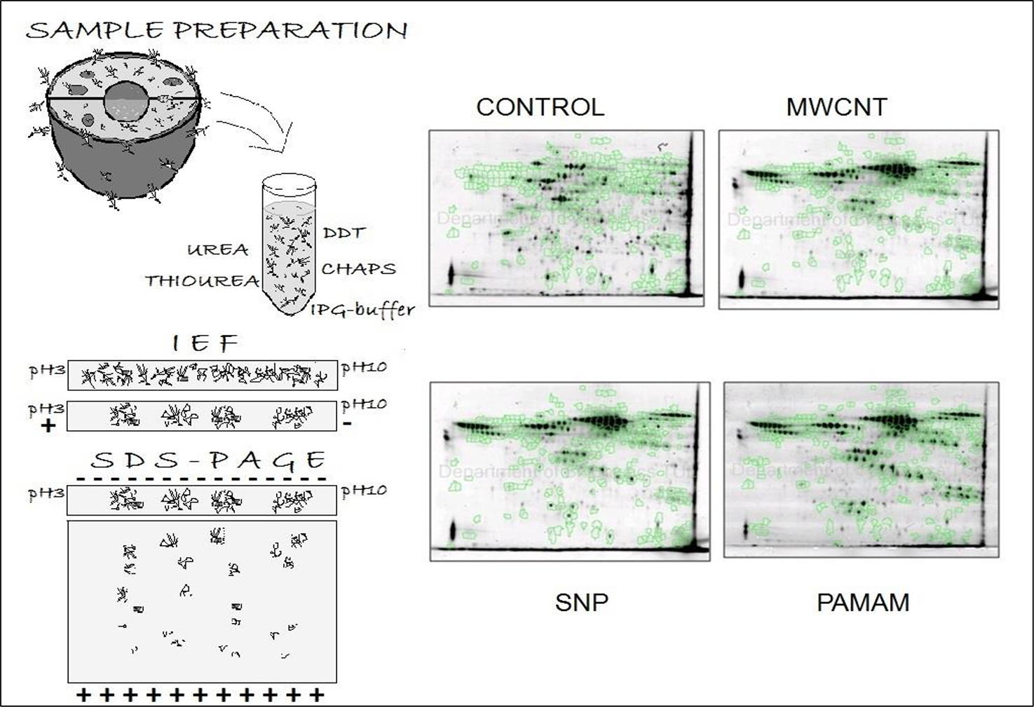 Biological recognition of materials - Book chapter - IOPscience
