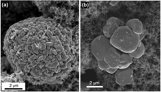 Electron microscopies for batteries - Book chapter - IOPscience
