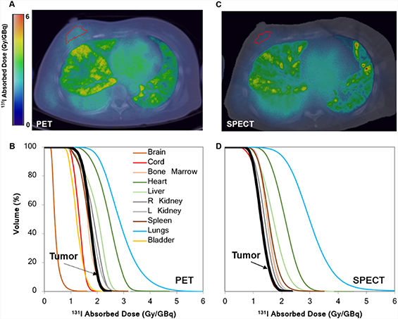 RAPID: radiopharmaceutical assessment platform for internal dosimetry ...