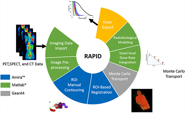 RAPID: radiopharmaceutical assessment platform for internal dosimetry ...
