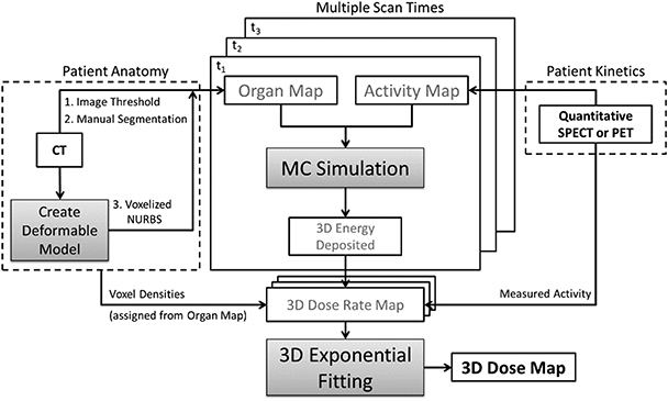 The VIDA software for targeted radionuclide therapy - Book chapter ...