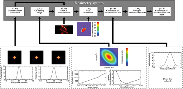 The use of Monte Carlo simulations to evaluate image-based absorbed ...