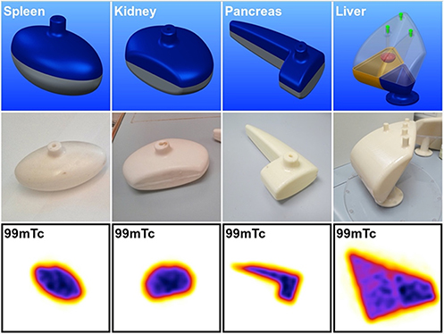 The use of Monte Carlo simulations to evaluate image-based absorbed ...