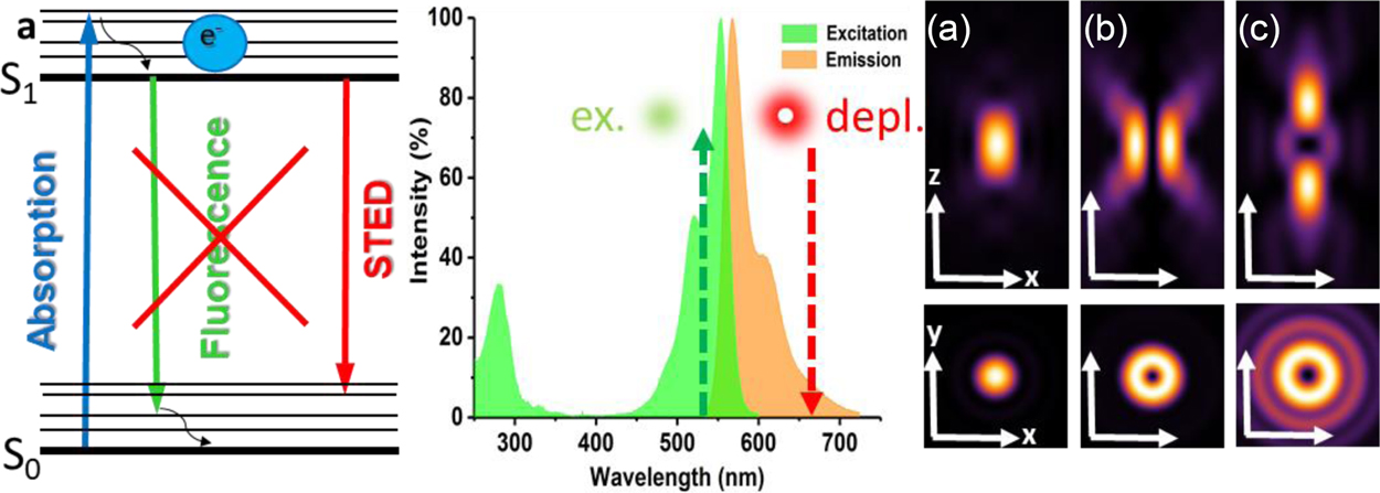 Stimulated emission depletion microscopy - Book chapter - IOPscience